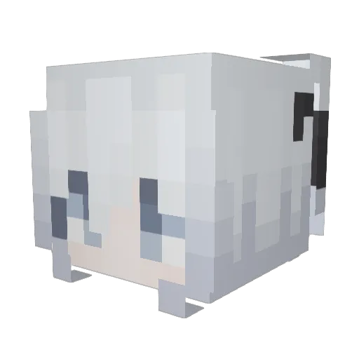 chubspud2803 Minecraft avatar head, 3D render