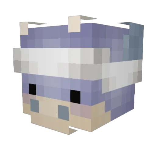 chuchuchay Minecraft avatar head, 3D render