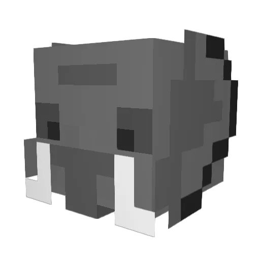 chuck11yt Minecraft avatar head, 3D render