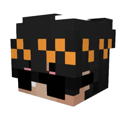 chucktaylors97 Minecraft avatar head, 3D render