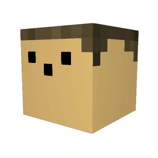 chucky590 Minecraft avatar head, 3D render