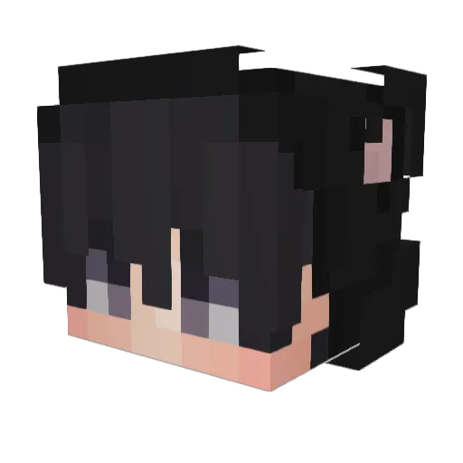 chudcatboy Minecraft avatar head, 3D render