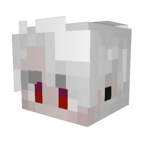 chuddestbunny Minecraft avatar head, 3D render