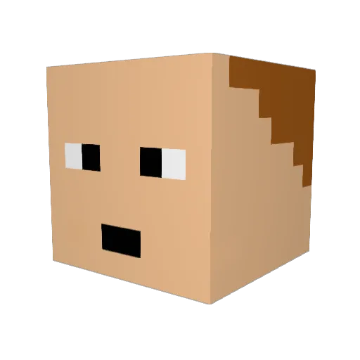 chudy1502 Minecraft avatar head, 3D render