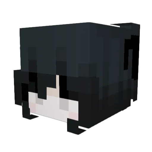 chufolle Minecraft avatar head, 3D render