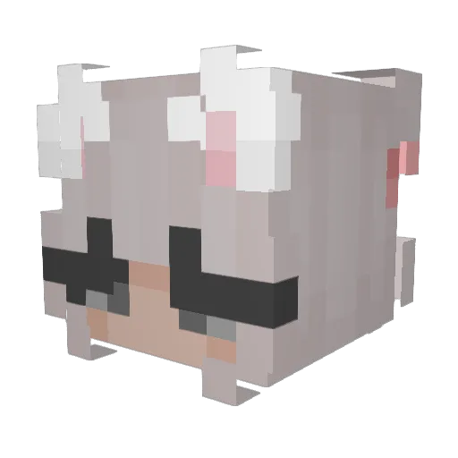 chugalug225 Minecraft avatar head, 3D render