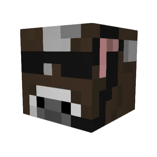 chummer1010 Minecraft avatar head, 3D render