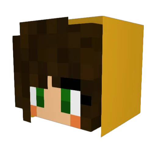 chun_wei Minecraft avatar head, 3D render