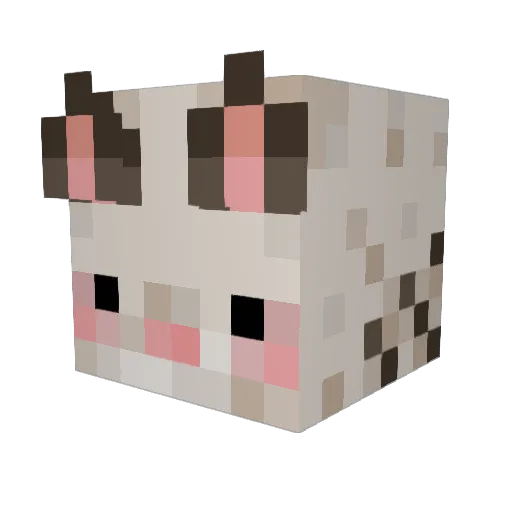 chungusfanXD Minecraft avatar head, 3D render