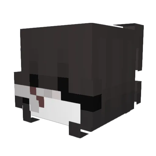 chungycat Minecraft avatar head, 3D render