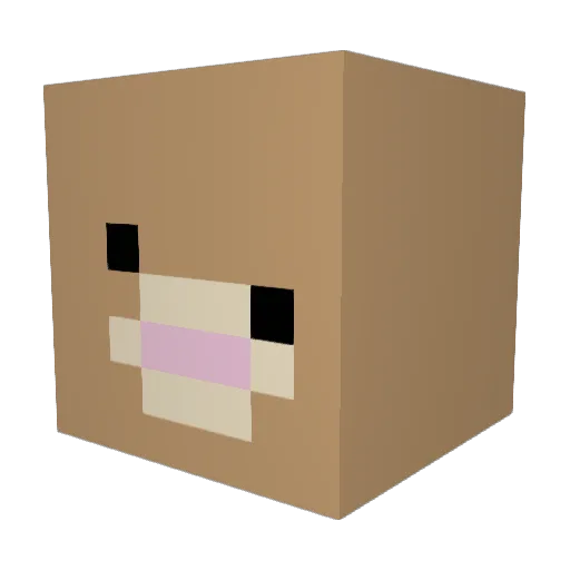 chunkymonkey72 Minecraft avatar head, 3D render
