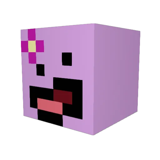 chunkynuggetsxX Minecraft avatar head, 3D render