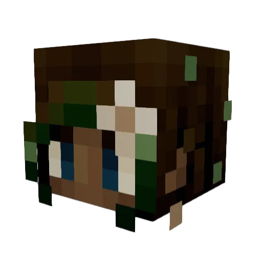 chunkynut0 Minecraft avatar head, 3D render