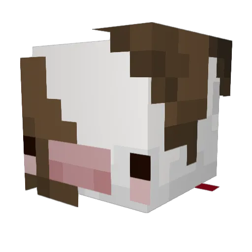 chunkysock Minecraft avatar head, 3D render