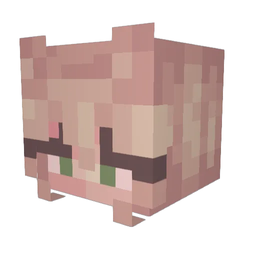 chunnyanna Minecraft avatar head, 3D render