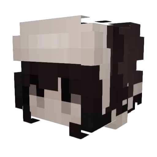 chups_chupeta Minecraft avatar head, 3D render