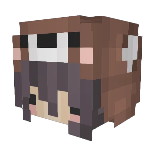 churr0cat Minecraft avatar head, 3D render