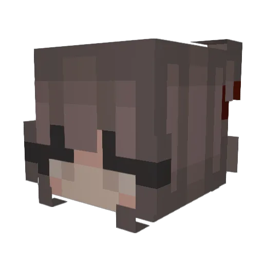 chwyl Minecraft avatar head, 3D render