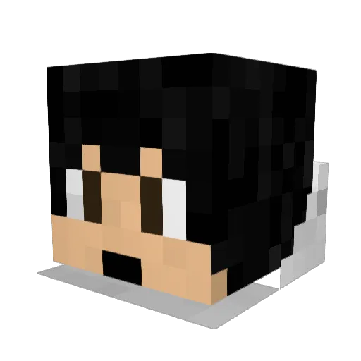 chylek89 Minecraft avatar head, 3D render