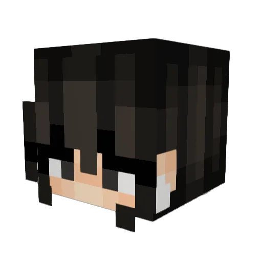 ci_shell Minecraft avatar head, 3D render