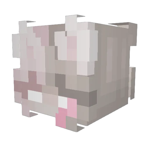 cialol Minecraft avatar head, 3D render