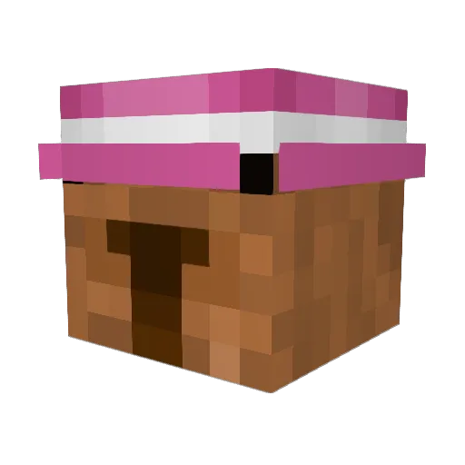 ciap4ty Minecraft avatar head, 3D render