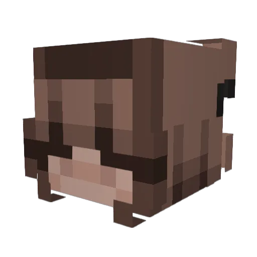 ciara_rawra Minecraft avatar head, 3D render