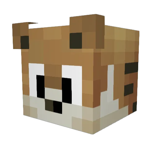 ciaramm Minecraft avatar head, 3D render