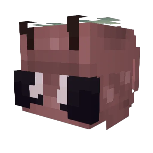 ciciamanda Minecraft avatar head, 3D render