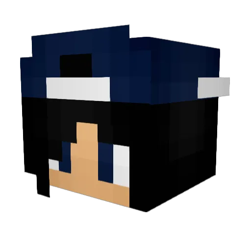 cidade123 Minecraft avatar head, 3D render