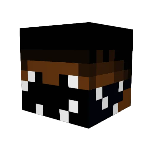 cieplydran Minecraft avatar head, 3D render