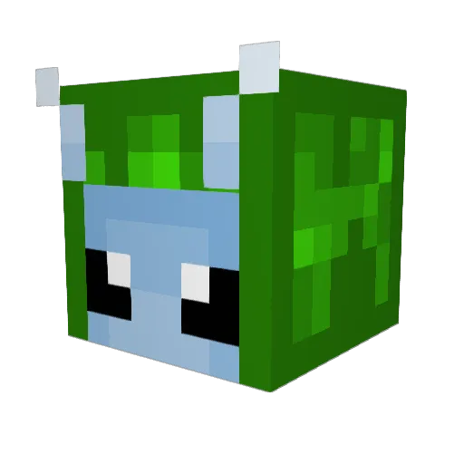 cieruh Minecraft avatar head, 3D render