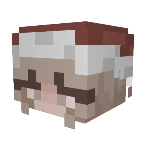 cigiman23 Minecraft avatar head, 3D render
