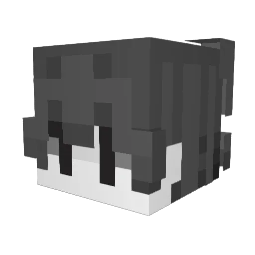cihyra5 Minecraft avatar head, 3D render