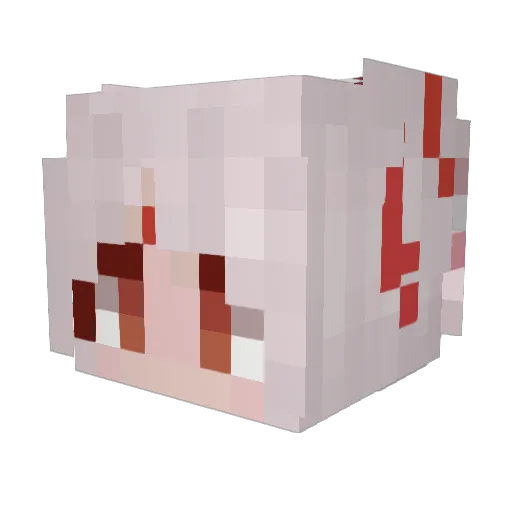 cillin20 Minecraft avatar head, 3D render