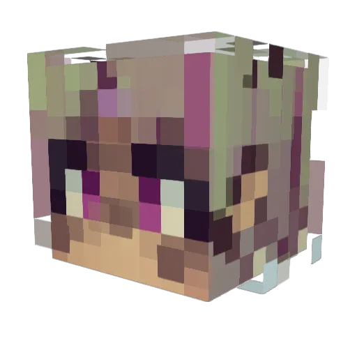cinalilli Minecraft avatar head, 3D render