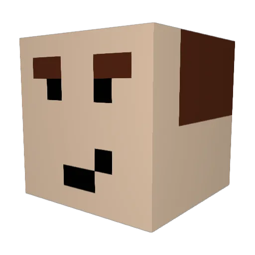 cincillo21 Minecraft avatar head, 3D render