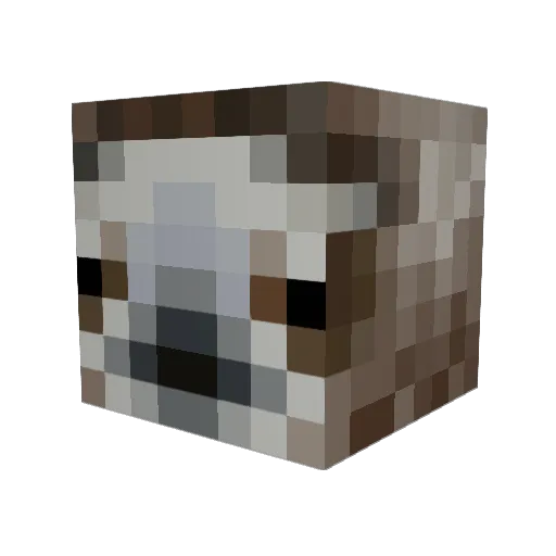 cindermot Minecraft avatar head, 3D render