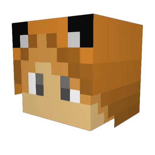 cinguilherme Minecraft avatar head, 3D render