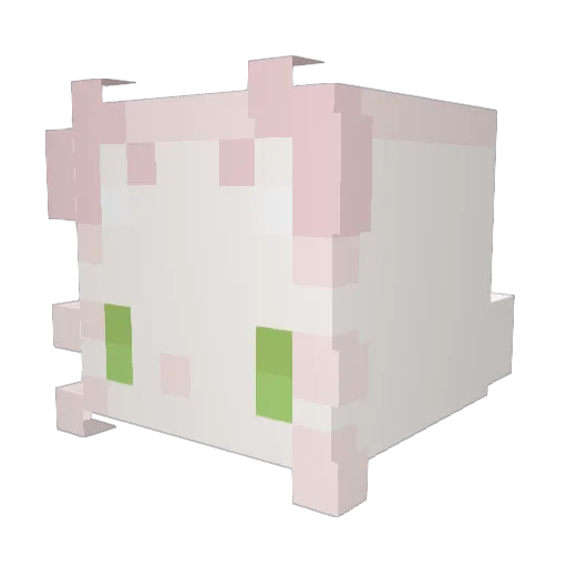 cinnamoncita Minecraft avatar head, 3D render