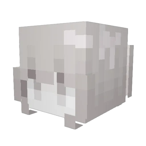 cinnamongirly1 Minecraft avatar head, 3D render