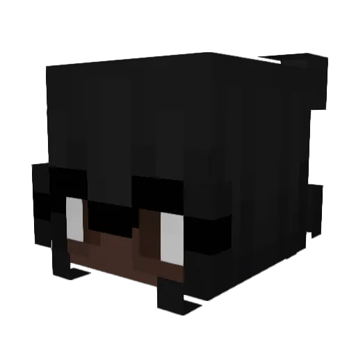 cinnamonrxll Minecraft avatar head, 3D render