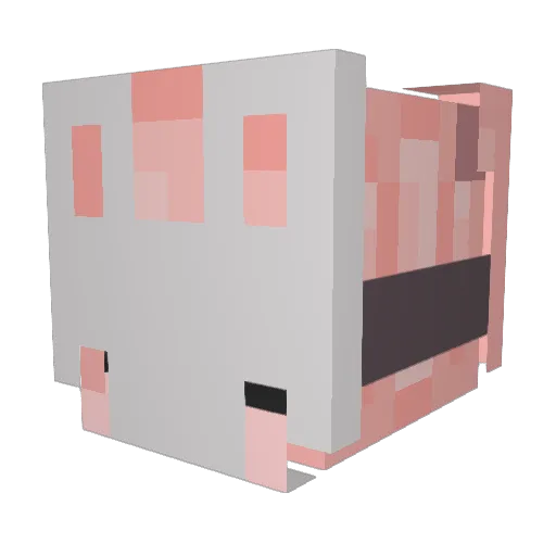 cinnamonsketches Minecraft avatar head, 3D render