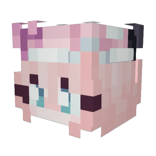 cinnamoonbunn Minecraft avatar head, 3D render