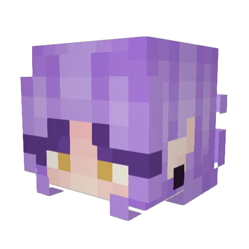 cinnamoons Minecraft avatar head, 3D render