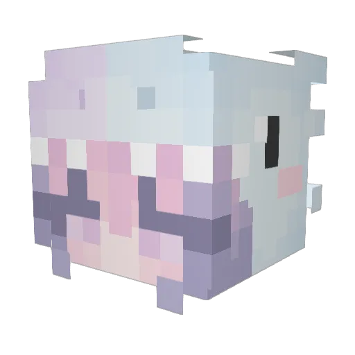 cinnyamon Minecraft avatar head, 3D render