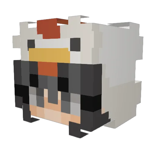 cinvoids Minecraft avatar head, 3D render