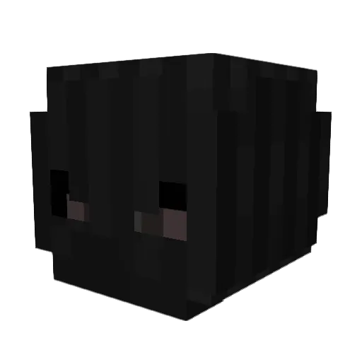 cions Minecraft avatar head, 3D render