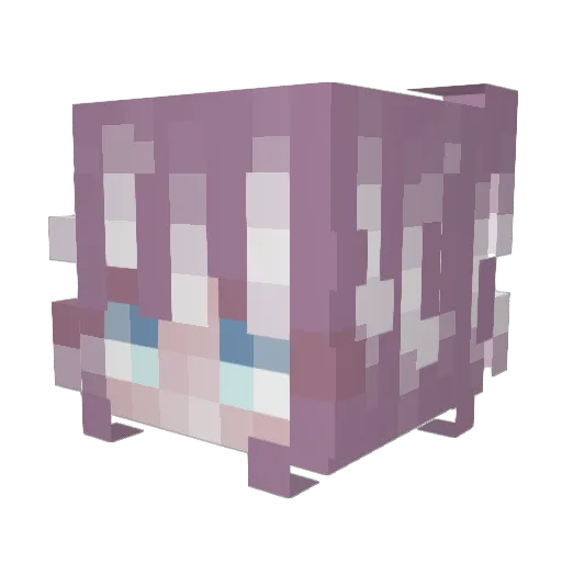 cipheria_kitty Minecraft avatar head, 3D render