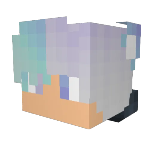 circle030 Minecraft avatar head, 3D render